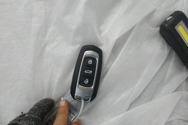 Used  Panda 2025 210 km – Yuanqi Bear
