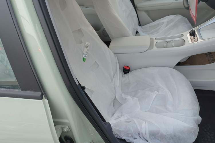 Used  Geome 2025 310km Youth Edition
