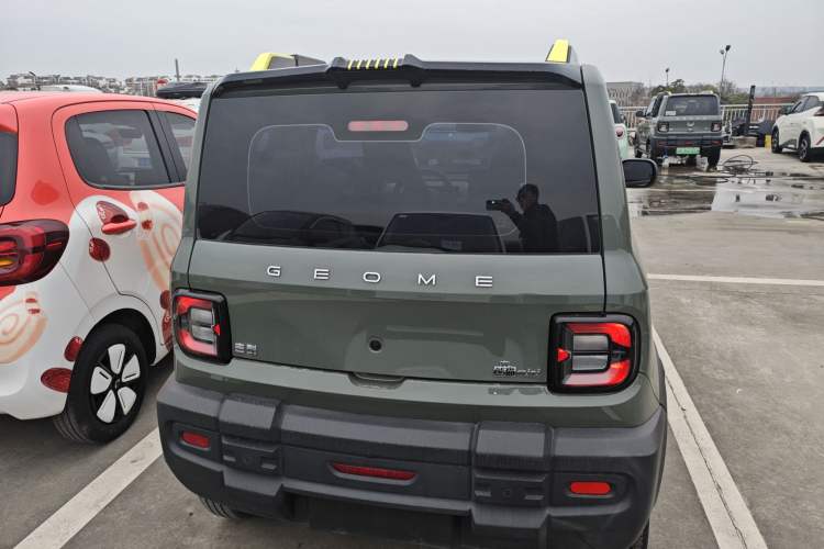 Used  Panda 2024 200km Panda Rider