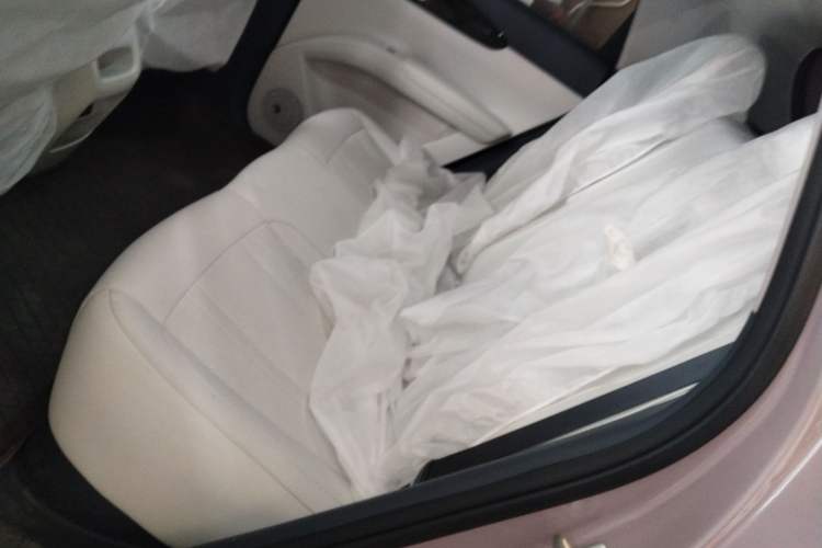 Used  Geome 2025 310km Dream Edition