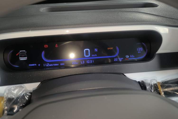 Used  Panda 2025 210 km – Yuanqi Bear
