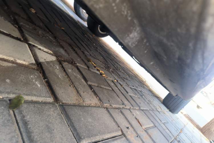 Used Peugeot 301 2016 1.6L Manual Comfort Edition
