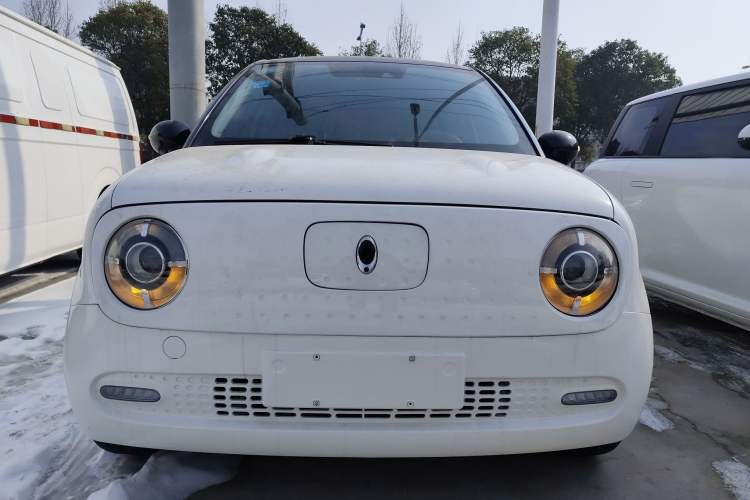 Used ORA Black Cat 2019 351 km Goddess Edition