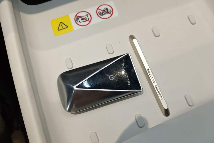 Used  06 2025 Max Extended-Range Edition
