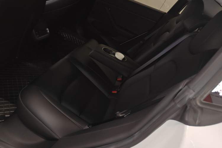 Used Tesla Model 3 2022 Rear-Wheel-Drive Version