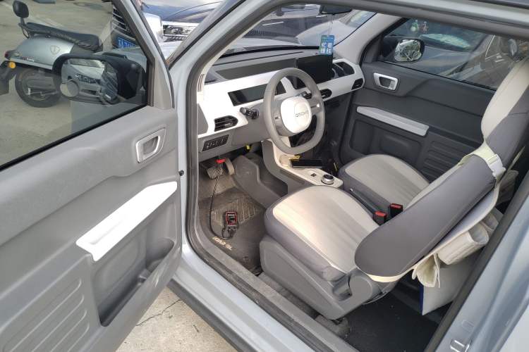 Used  Panda 2024 200km Panda Kart
