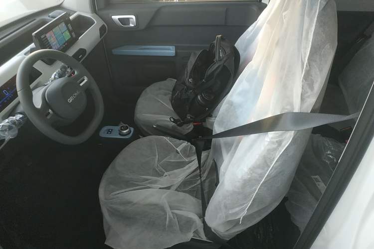 Used  Panda 2024 Panda Mini 200km Endurance Bear
