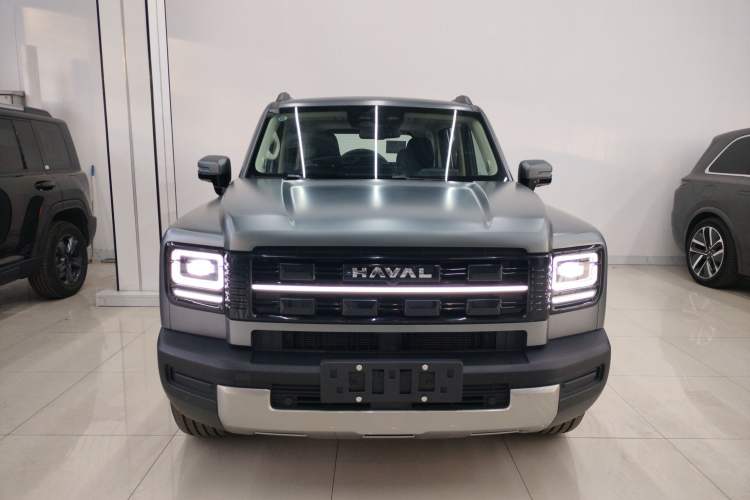 Used Haval Raptor New Energy 