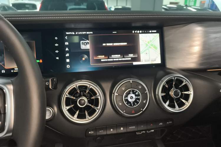 Used Tank 300 2024 2.0T Conqueror
