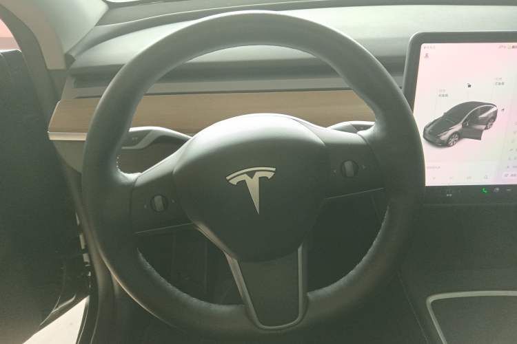 Used Tesla Model Y 2022 Rear-Wheel-Drive Version