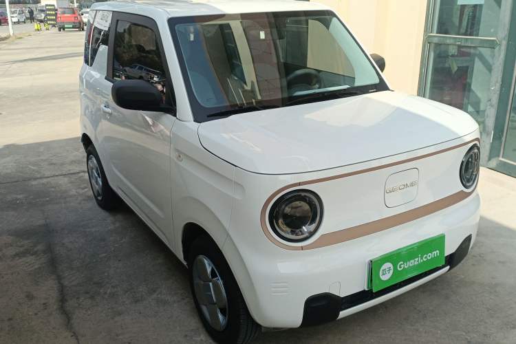 Used  Panda 2024 Panda Mini 200km Endurance Bear
