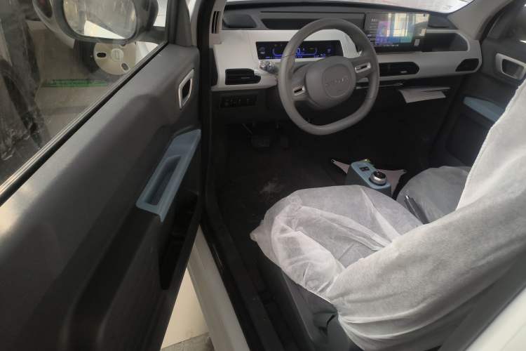 Used  Panda 2024 Panda Mini 200km Endurance Bear
