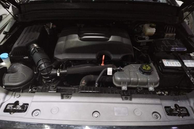 Used Tank 300 2024 2.0T Conqueror