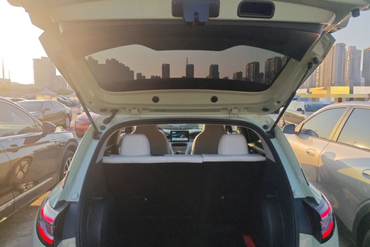 Used  Geome 2025 310km Youth Edition