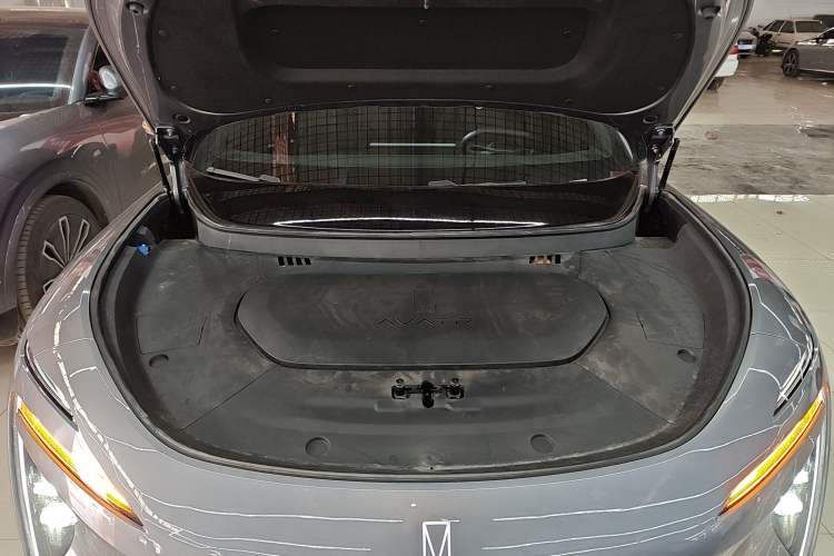 Used  07 2024 Max Extended-Range Edition
