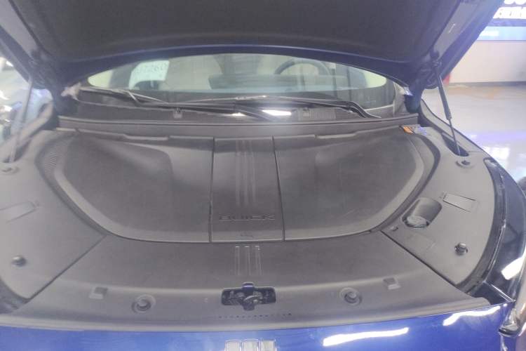 Used Buick E5 2023 Avia Four-Wheel Drive Version
