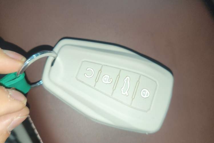 Used Geely Auto Monjaro L 2021 2.0TD DCT EVO Two-Wheel Drive Prestige Version