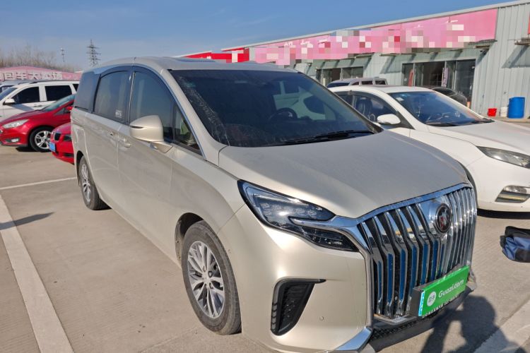 Used Buick GL8 2022 ES Landtrek 653T Luxury Edition
