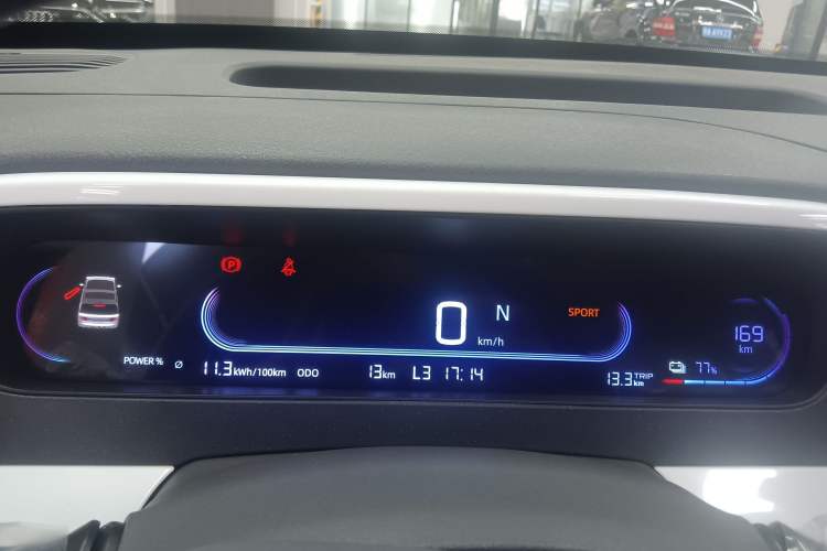 Used  Panda 2025 210 km – Yuanqi Bear