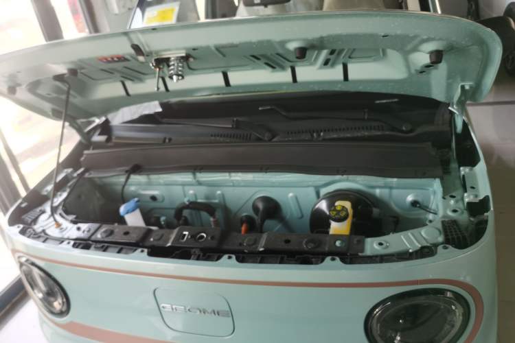 Used  Panda 2024 Panda Mini 200km Endurance Bear
