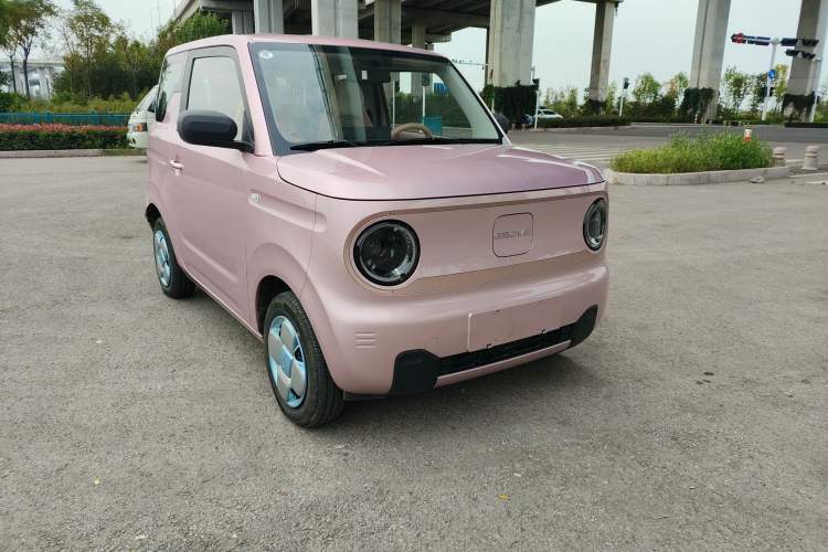 Used  Panda 2024 Panda Mini 200km Longteng PRO Edition
