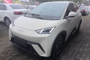 Used BYD Seagull 2025 305 km Free Version