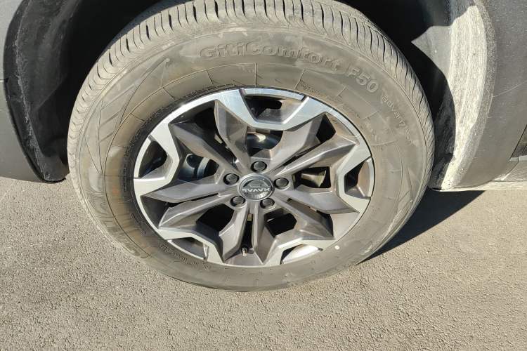 Used Haval DARGO 2024 2.0T DCT Chinese Rural Dog Edition