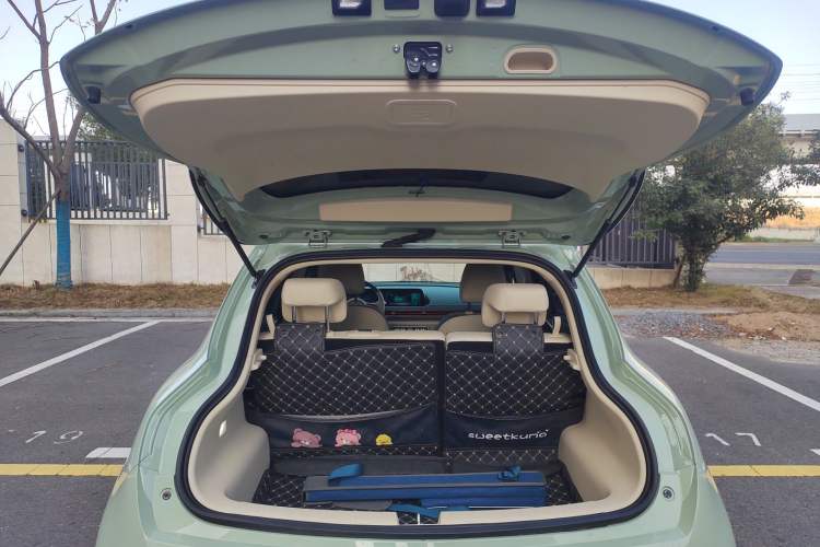 Used ORA Good Cat 2021 500km Long-Range Business Edition Lithium-NMC
