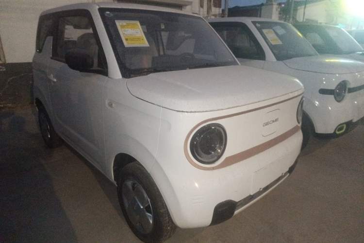 Used  Panda 2025 210 km – Yuanqi Bear
