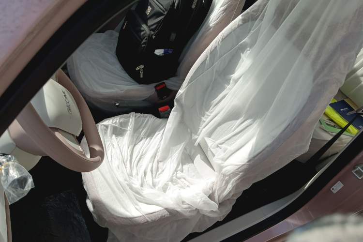 Used  Panda 2025 210 km – Yuanqi Bear