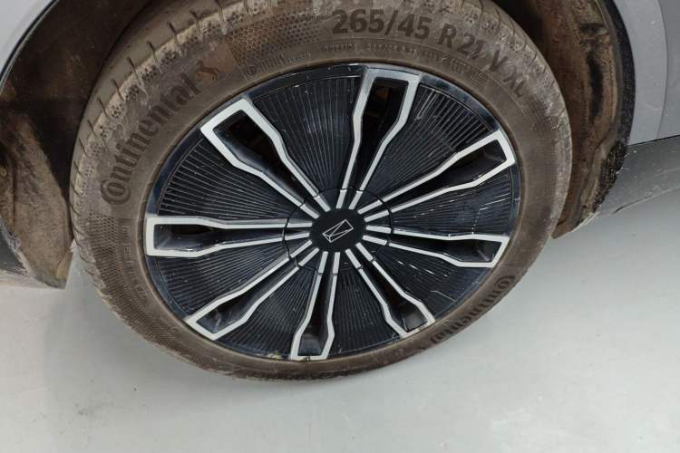 Used  07 2024 Max Extended-Range Edition