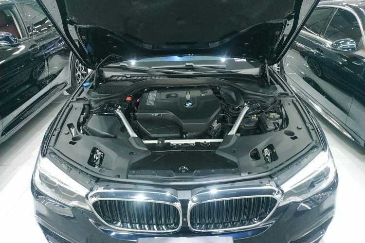 Used BMW 5 Series 2020 530Li Leading Model M Sport Package
