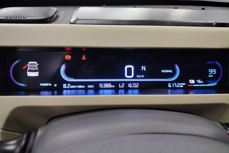 Used  Panda 2024 200km Panda Rider