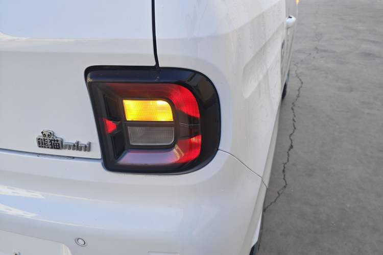 Used  Panda 2024 Panda Mini 200km Endurance Bear
