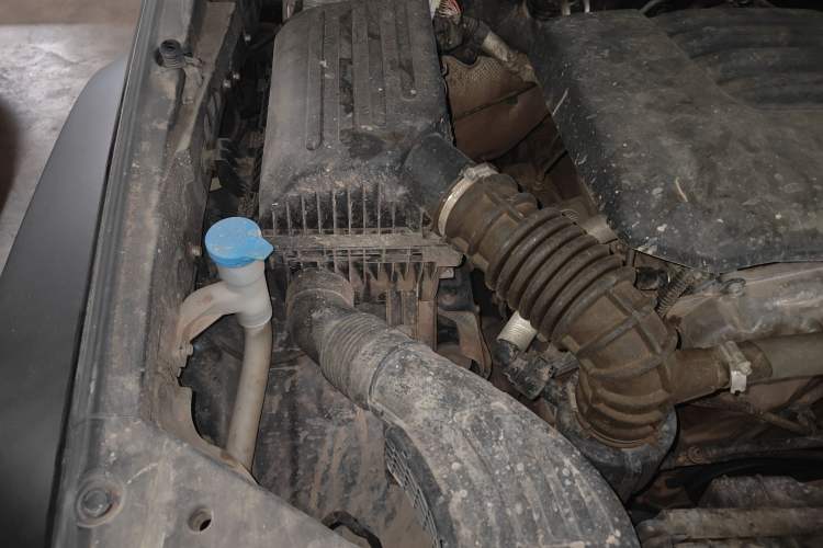 Used Tank 300 2021 Off-Road Edition 2.0T Conqueror