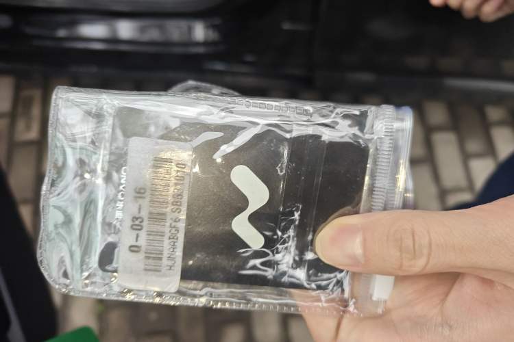 Used ONVO L60 2024 60 kWh Rear-Drive Version