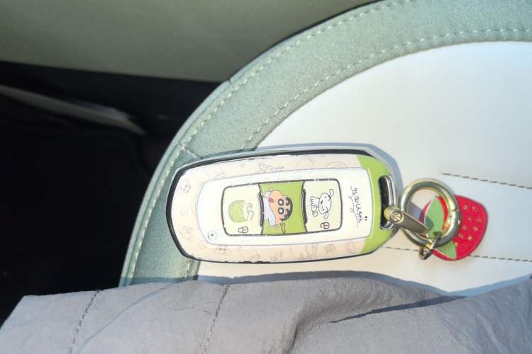 Used  Panda 2025 210km Panda Rider
