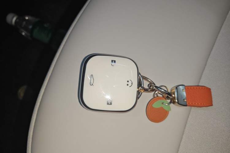 Used Qiyuan Lumin 2025 301km Honey Dew Edition