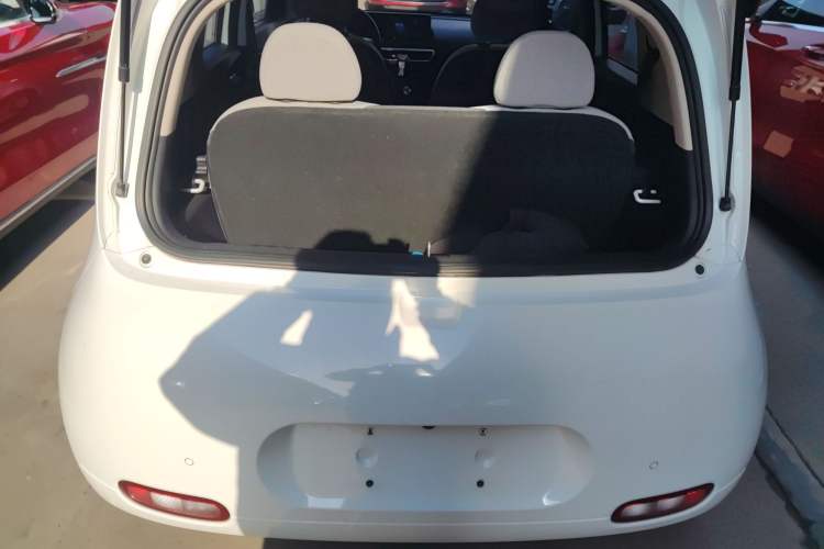 Used ORA White Cat 2020 360 km Luxury Version
