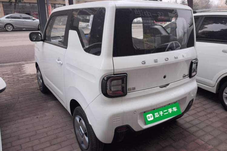 Used  Panda 2024 Panda Mini 200km Endurance Bear
