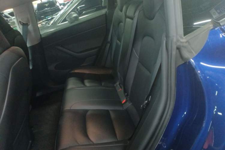 Used Tesla Model 3 2022 Rear-Wheel-Drive Version
