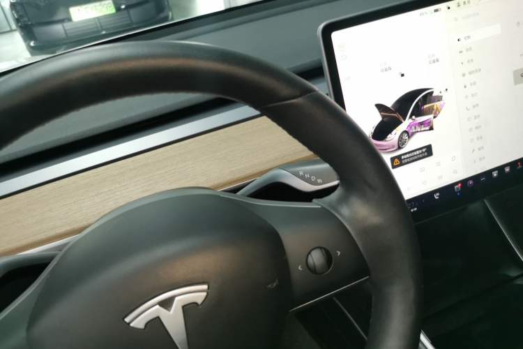 Used Tesla Model 3 2019 Standard Range Rear-Drive Upgraded Version