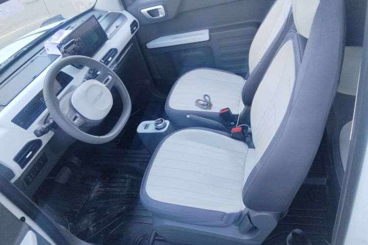 Used  Panda 2024 200km Panda Kart
