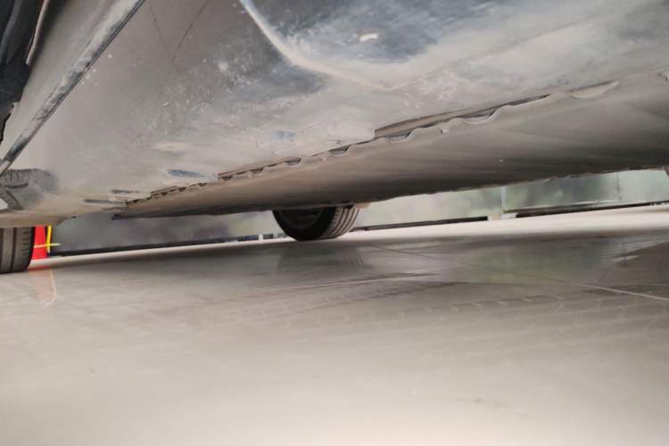 Used  07 2024 Max Extended-Range Edition
