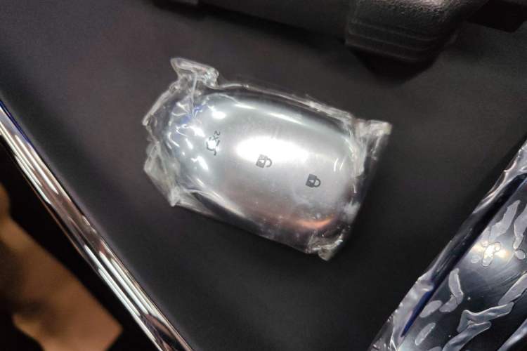 Used  A07 2025 Blue Whale Extended-Range 230 Prestige Model