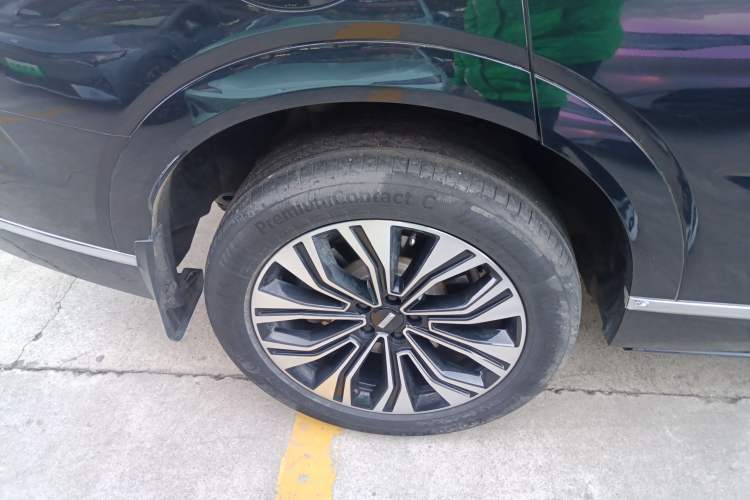 Used Wey Lanshan 2023 Two-Wheel Drive Long-Range Version