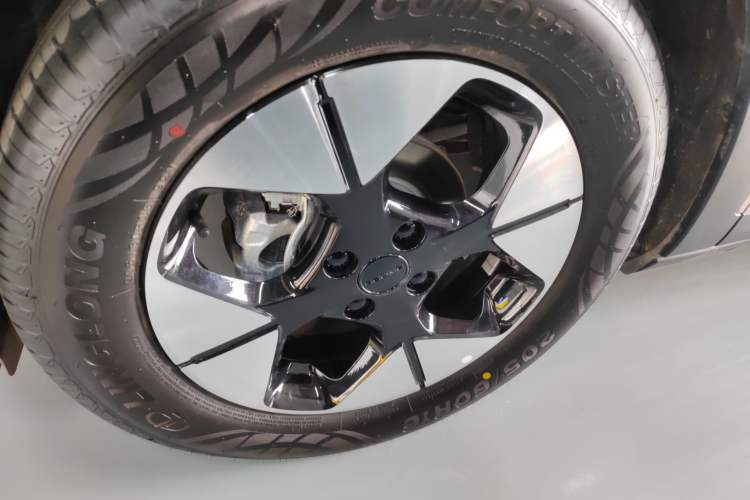 Used  Geome 2025 310km Dream Edition
