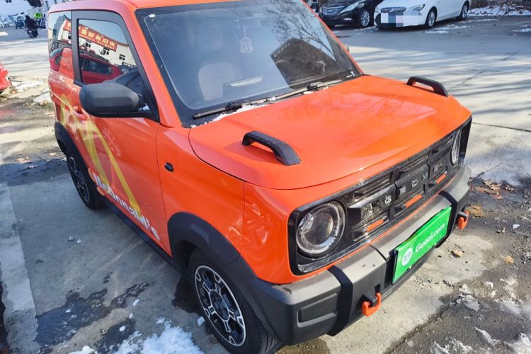 Used  Panda 2025 210km Panda Rider