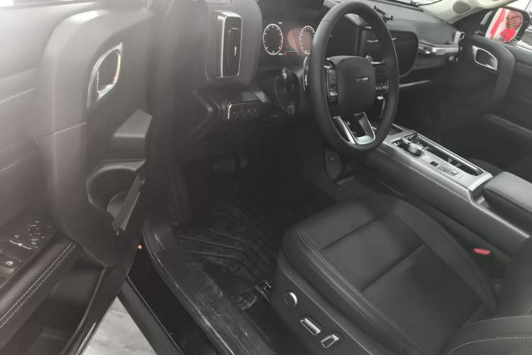 Used Haval DARGO 2024 2.0T DCT Chinese Rural Dog Edition
