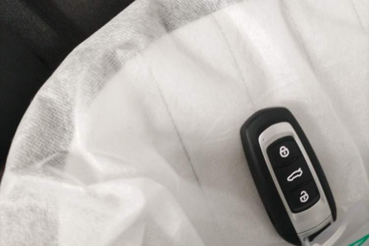 Used  Panda 2025 210km Panda Kart